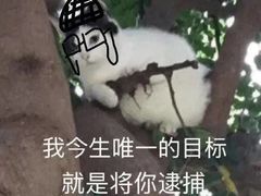 -一家人面馆(三条巷店)