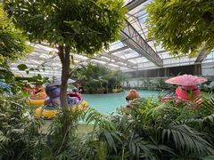 -南宫五洲植物乐园