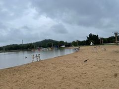 -上海月湖雕塑公园