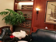 -梦都海鲜酒家(万达广场江桥店)