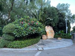 -福田红树林生态公园