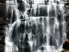 -海南热带雨林国家公园吊罗山景区