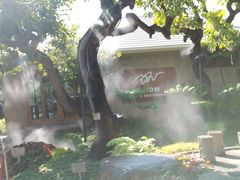 -Chom Cafe and Restaurant
