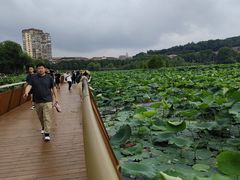 -岗子村(地铁站)