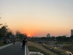 -光明小镇欢乐田园