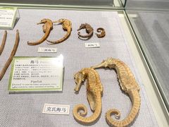 -北京中医药大学-中医药博物馆