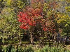 -奥林匹克森林公园北园-停车场