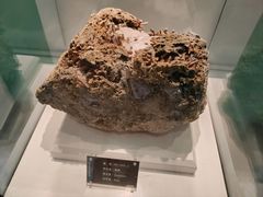 -金钉子远古世界景区