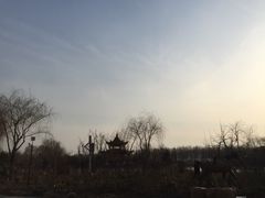 -关东文化园