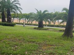 -碧海金沙