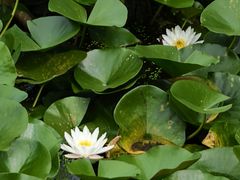 -长春市南湖公园