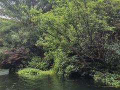 -洋湖国家湿地公园