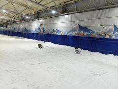 -乔波室内滑雪场