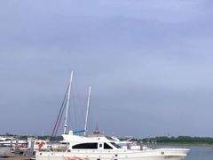 -渡海小渔村.老辈日照菜
