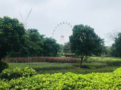 -白沙门生态公园