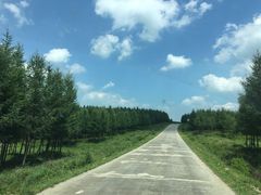 -塞罕坝国家级自然保护区