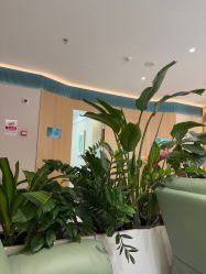 -LIHER北京丽合医疗美容医院