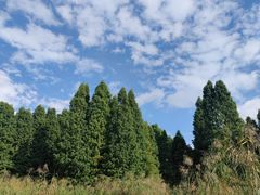 -捞渔河湿地公园