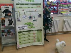 -瑞派·关忠动物医院(国瑞店)