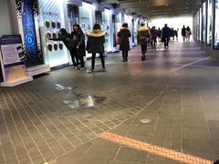 -乐天免税店(明洞店)