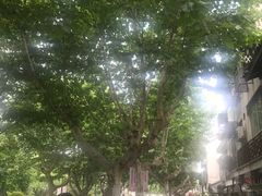 -大叔家福鼎小吃(十全街店)