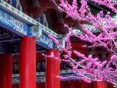 -滕王阁旅游区