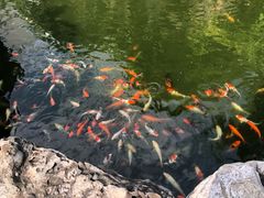 -北京邮电会议中心