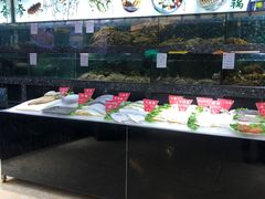 -宝燕壹号(徐汇店)