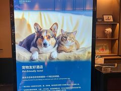 -成都安仁福朋喜来登酒店