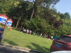 -铁山坪森林公园