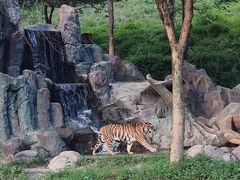 -杭州野生动物世界