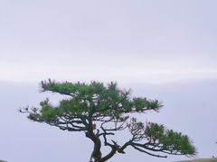 -萍乡武功山风景名胜区