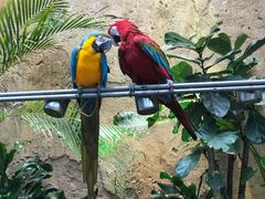 -杭州开元森泊度假乐园