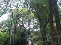 -四川大学(华西校区)