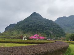 -靖西鹅泉风景区