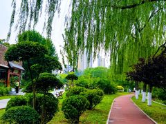 -南翠屏公园