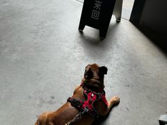 -来回·咖啡(钟村咖啡豆店)