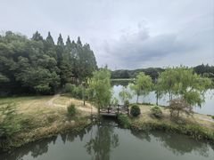 -新洲生态园