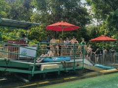 -新加坡水上探险乐园