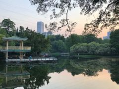 -晓港公园