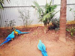 -费瑟代尔野生动物园