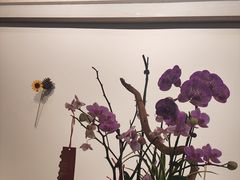 -漫笙舍Manse·咖啡·民宿