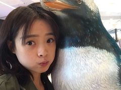 -暹罗海洋世界