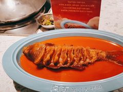 -阿五黄河大鲤鱼(英协路店)
