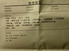 -伟伟宠物医院·CT影像中心·瑞派犬猫综合性门诊(汉口总院)
