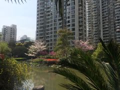 -新湖明珠城