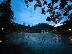 -顺峰山公园