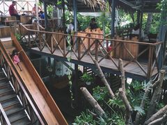 -Rainforest