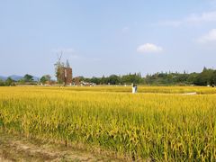 -良渚古城遗址公园