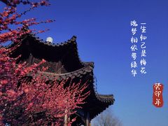 -莫愁湖公园